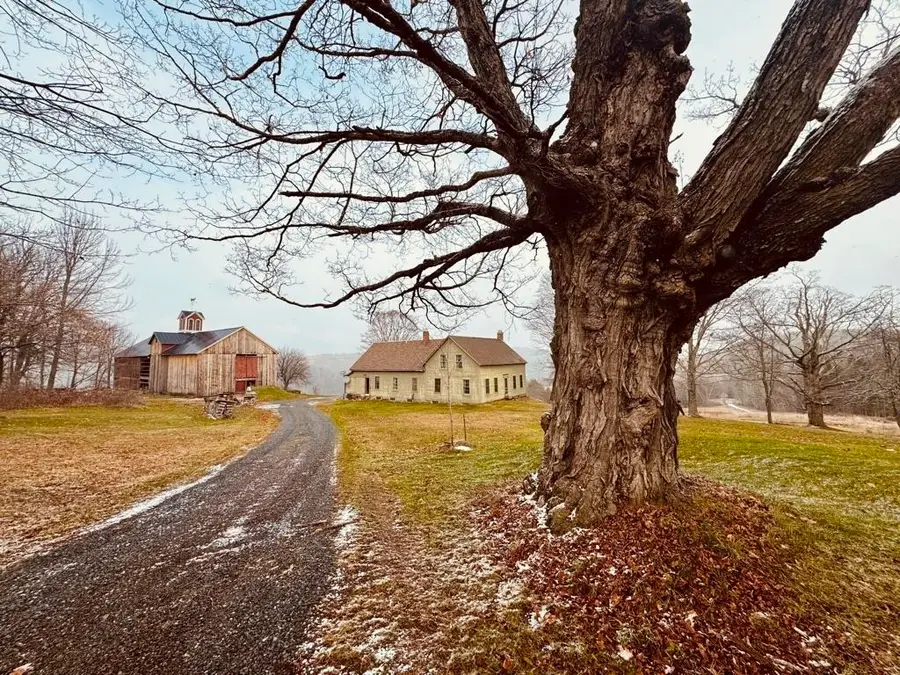 762 McLaren Hill Road, Barnet, VT 05821 - Image #3