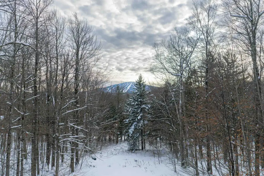 44 Lake Road, Winhall, VT 05340 - Image #2