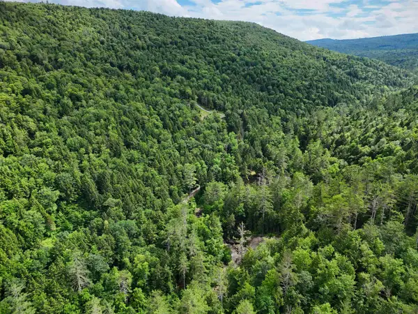 32 Hunter Brook Road, Newfane, VT 05351