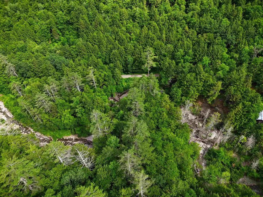 32 Hunter Brook Road, South Newfane, VT 05351 - Image #3