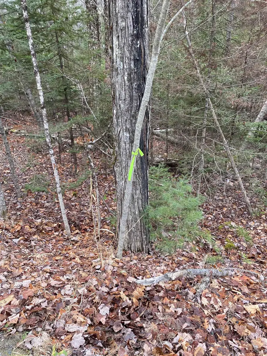 84 Vernon Avenue #Also Lots  103 and 104 on Oak Circle, Haverhill, NH 03765 - Image #2