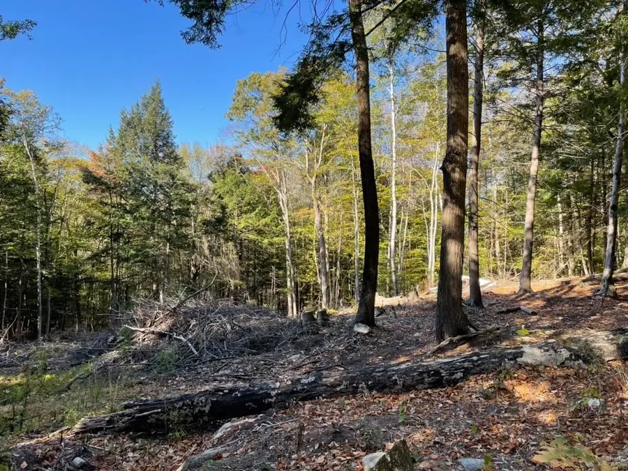 341 Perkins Hill Road #7, Alexandria, NH 03222 - Image #3