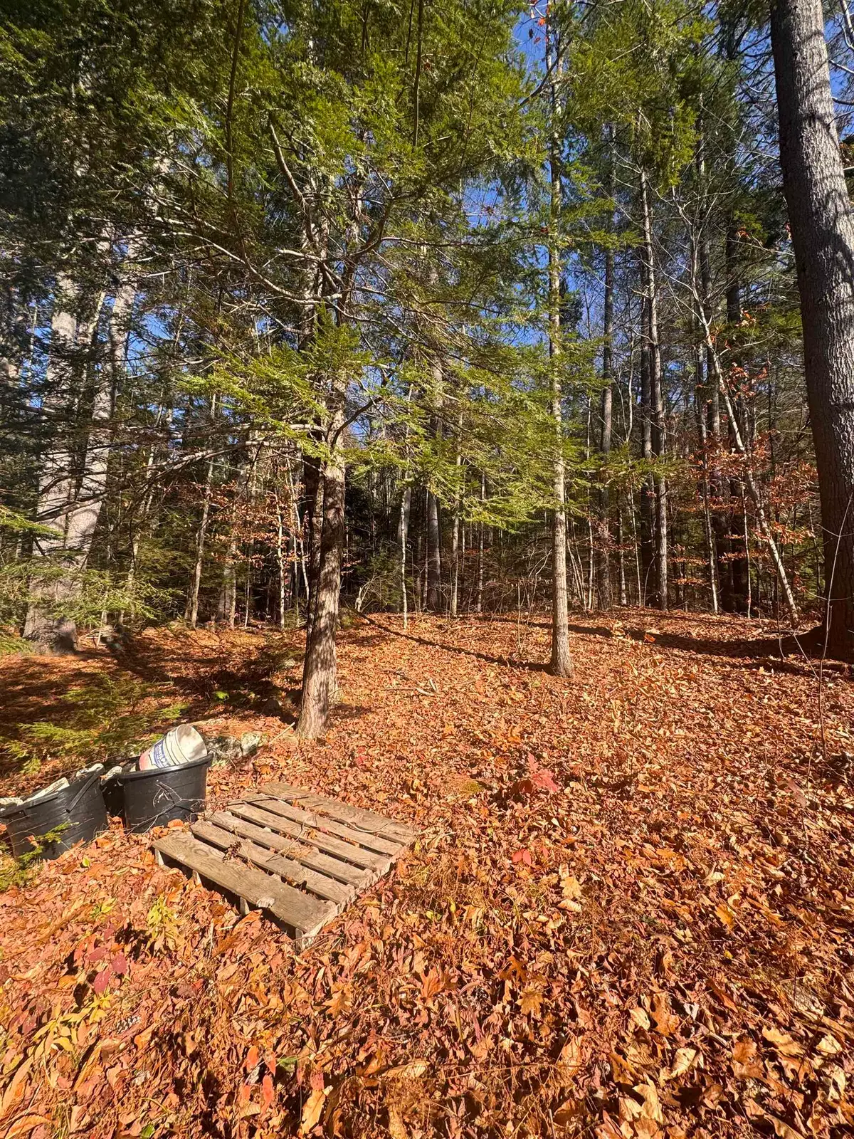 00 Newbury Road #04-764-534, Sutton, NH 03260 - Image #1