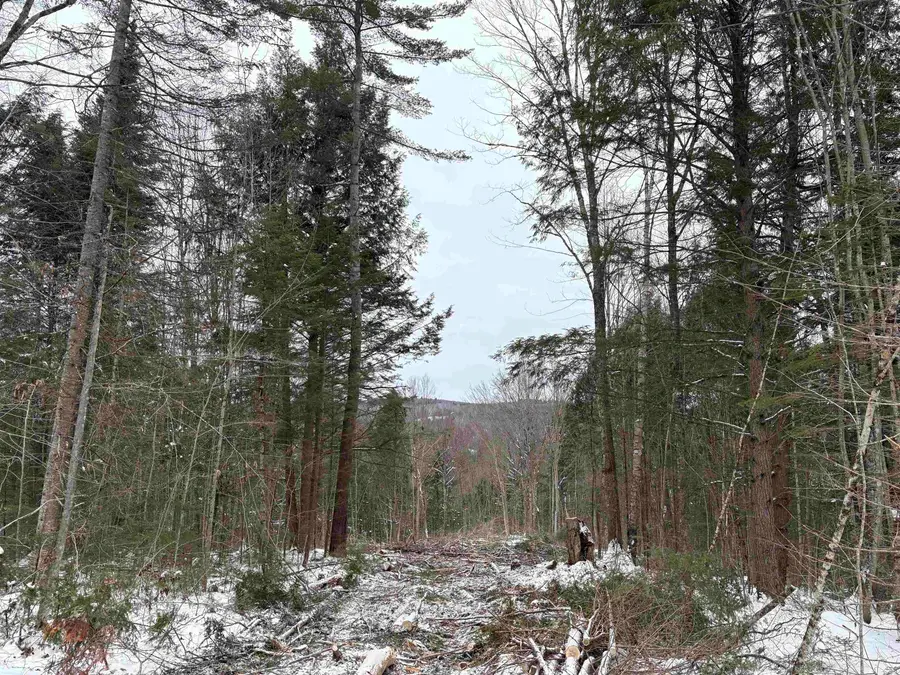 0 Fall Brook Road #4, Wheelock, VT 05851-000 - Image #2