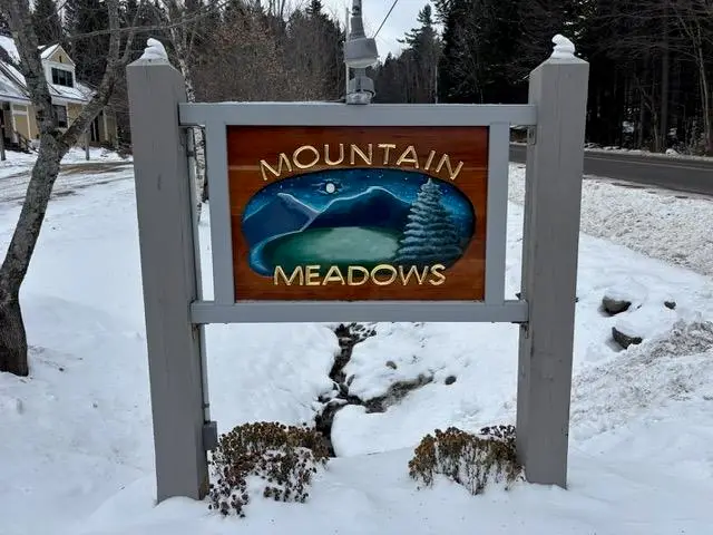 195 Mann Road #12, Wilmington Town, VT 05356 - Image #3