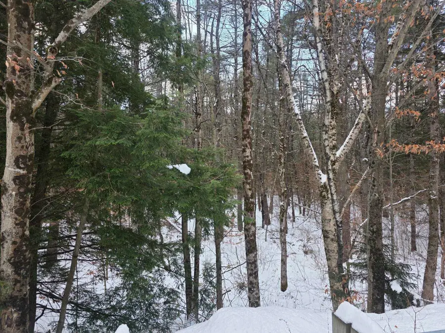 0 Route 10 Highway, Gilsum, NH 03448 - Image #3