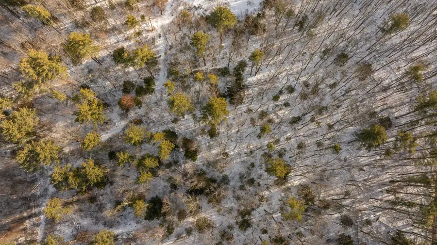 Lot 56-2 Chester Road, Auburn, NH 03032 - Image #3