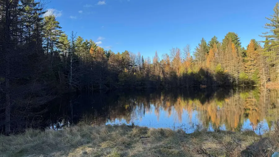 50 Cheney 4 Corner Road, Newbury, VT 05051 - Image #2