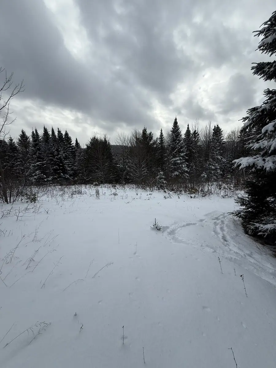 On US Route 2 W, Danville, VT 05828 - Image #3