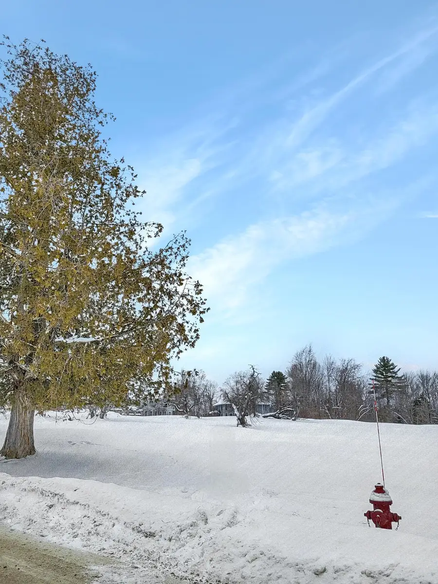 000 Mountain View Road, Whitefield, NH 03598 - Image #3