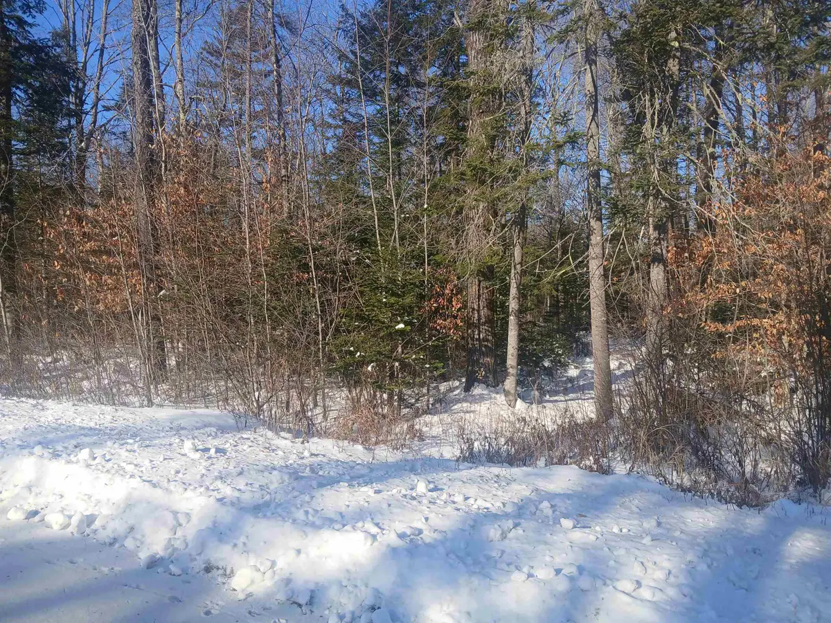 Lot#47-3 Grafton Pond Road, Enfield, NH 03748 - Image #1