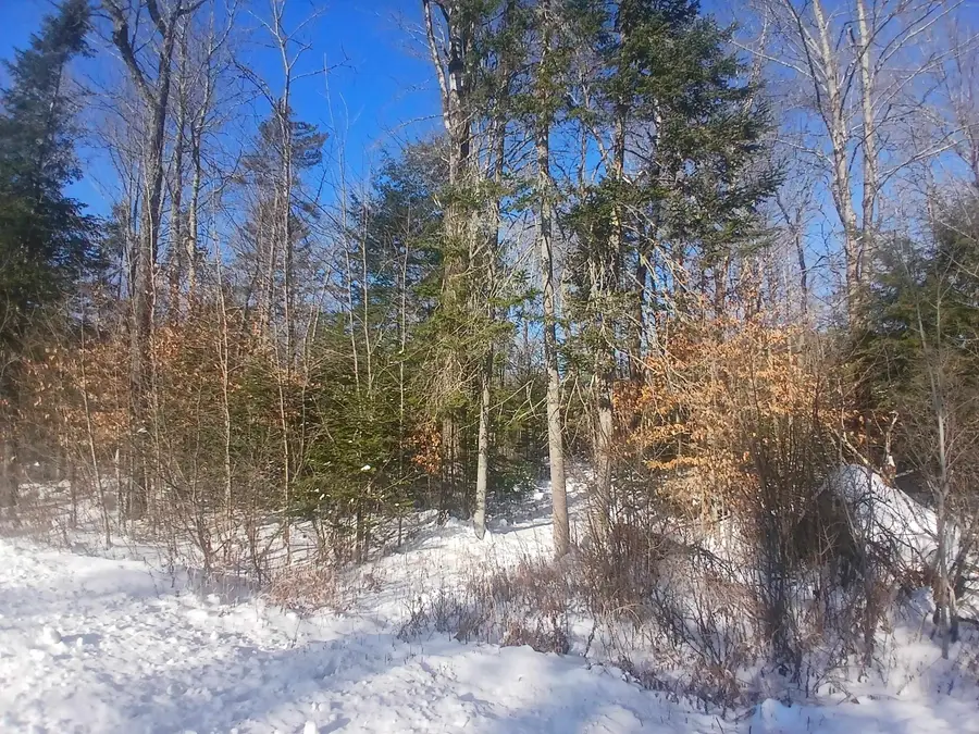 Lot#47-3 Grafton Pond Road, Enfield, NH 03748 - Image #2