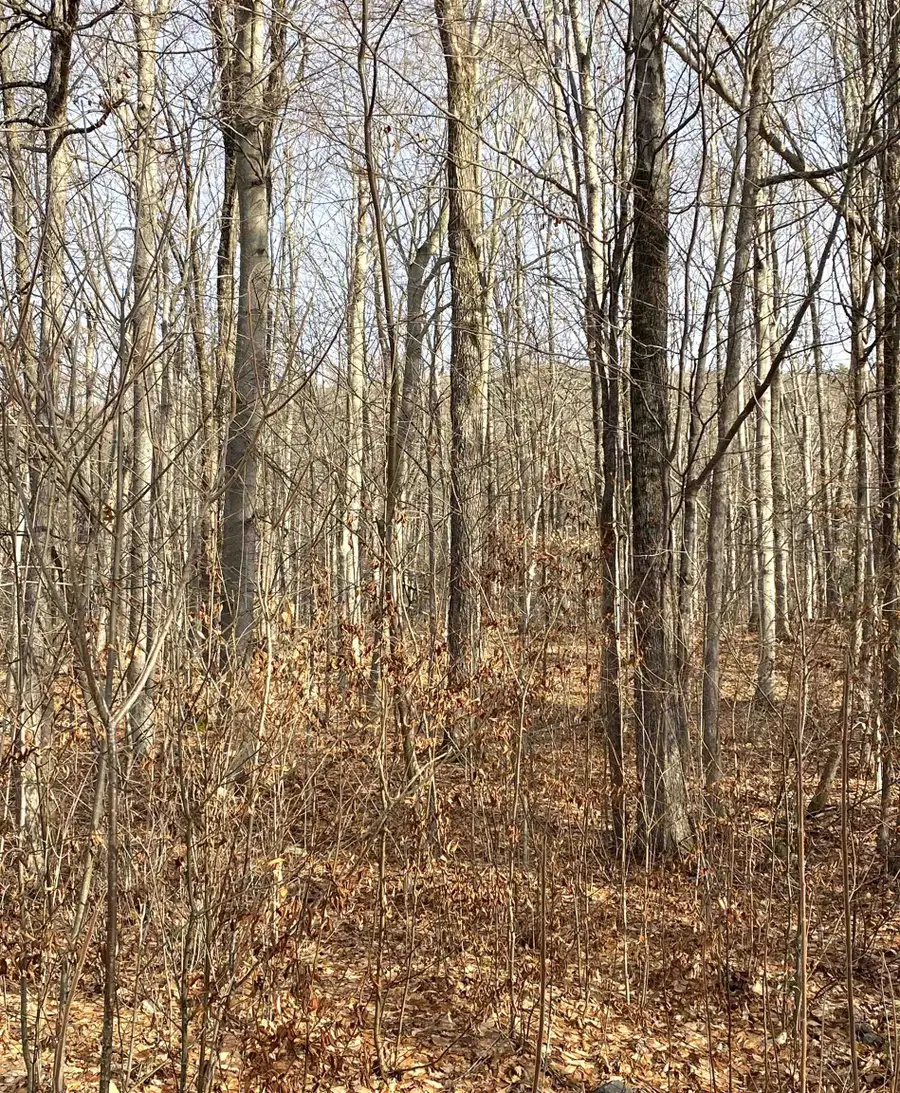 20 Forest Ridge Drive #14, Middlebury, VT 05753 - Image #3