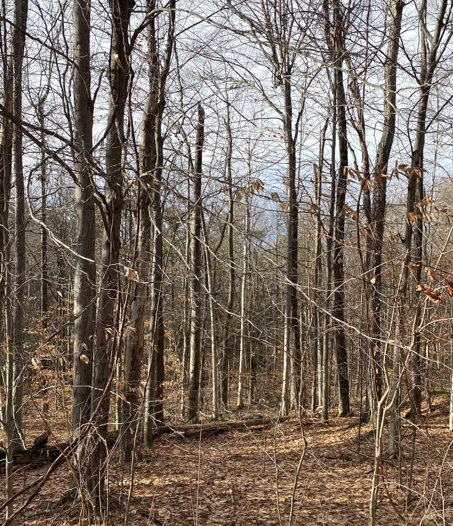 6 Fred Johnson Circle #17, Middlebury, VT 05753 - Image #2