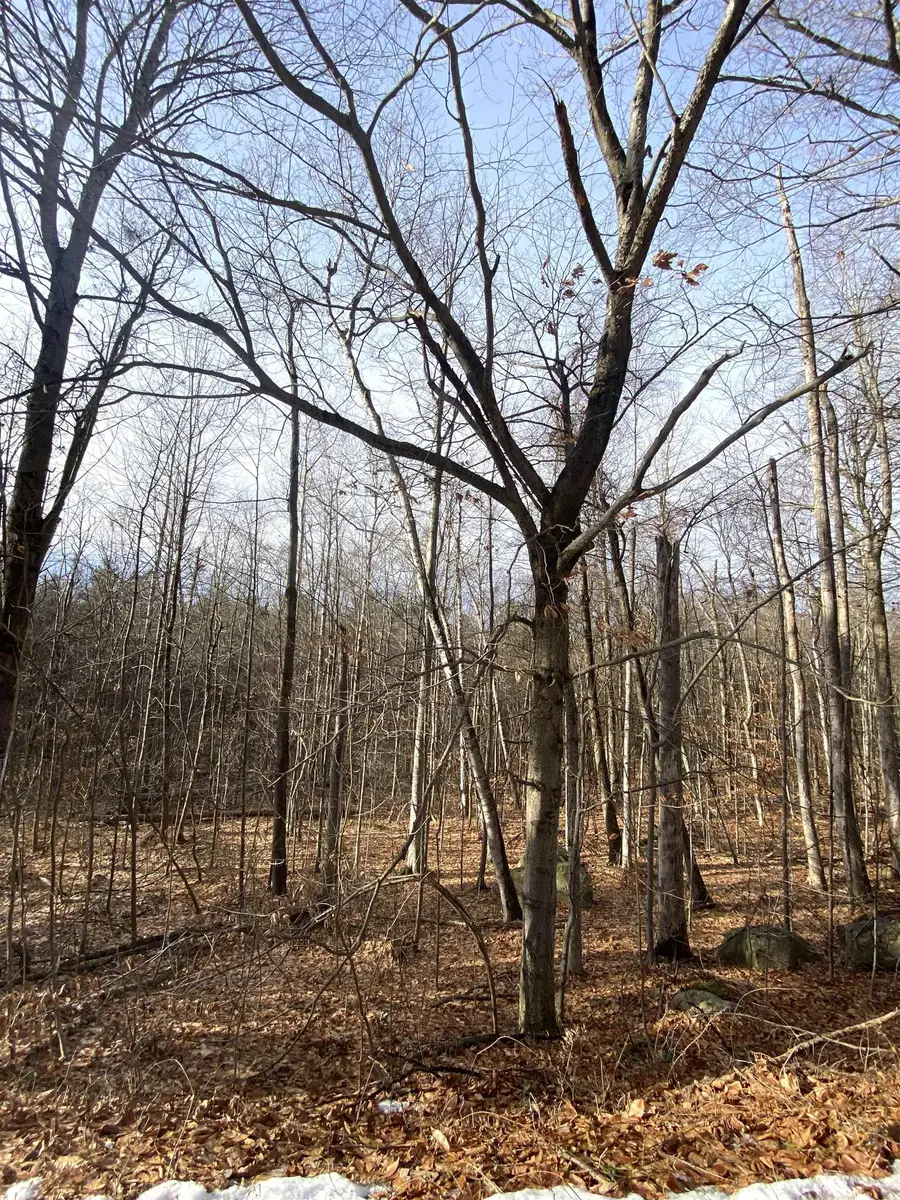 6 Fred Johnson Circle #17, Middlebury, VT 05753 - Image #3