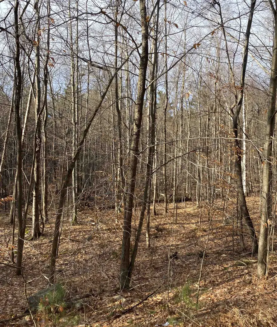 8 Fred Johnson Circle #16, Middlebury, VT 05753 - Image #2