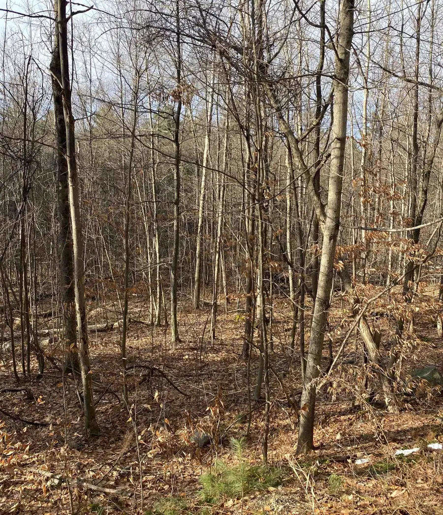 8 Fred Johnson Circle #16, Middlebury, VT 05753 - Image #3