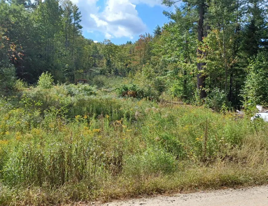 8 North Wakefield Road, Wolfeboro, NH 03894 - Image #2