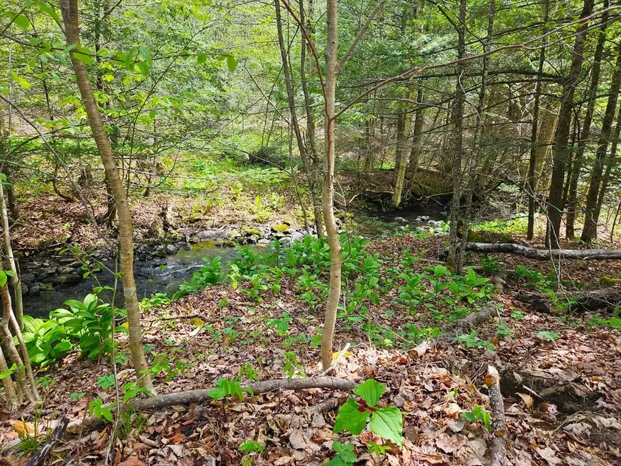 Lot 4 Berry Road, Berkshire, VT 05450 - #2