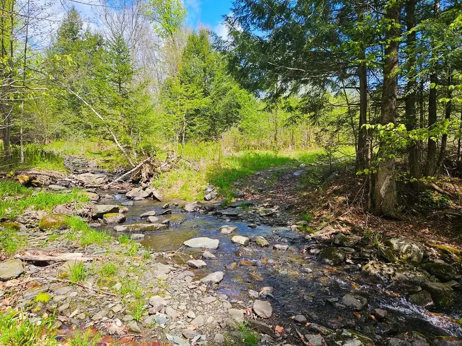 Lot 4 Berry Road, Berkshire, VT 05450 - #3
