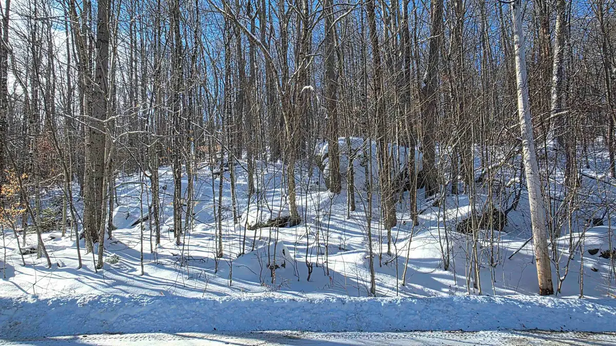 M111 L24&25 Tigola Trail, Stoddard, NH 03464 - Image #1