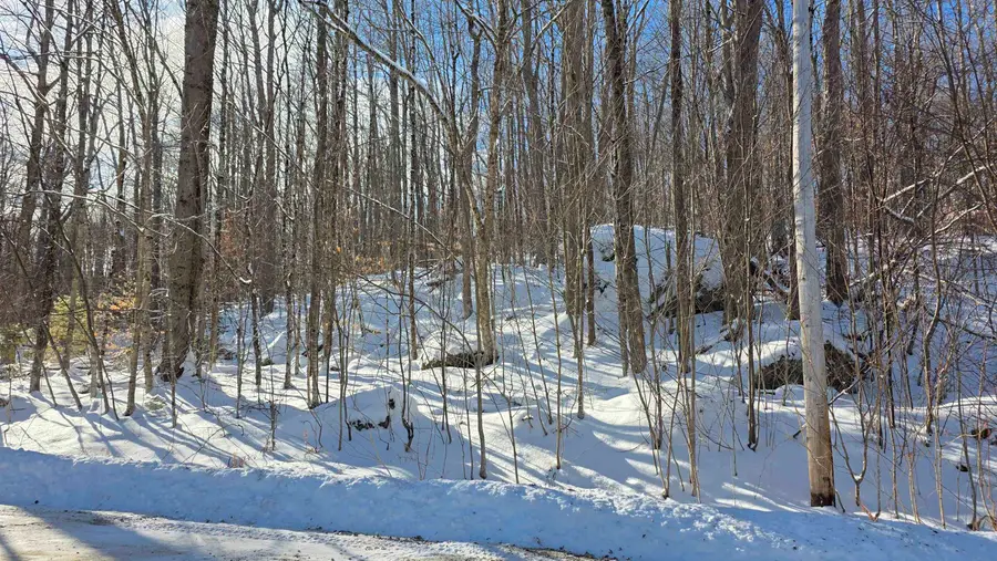 M111 L24&25 Tigola Trail, Stoddard, NH 03464 - Image #3