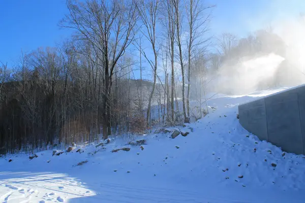 36 Alpine Drive, Lincoln, NH 03251