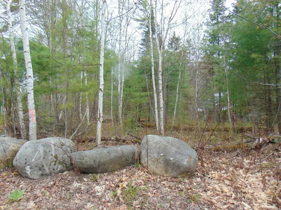 000 Walker Pit Road, Concord, VT 05824 - #2
