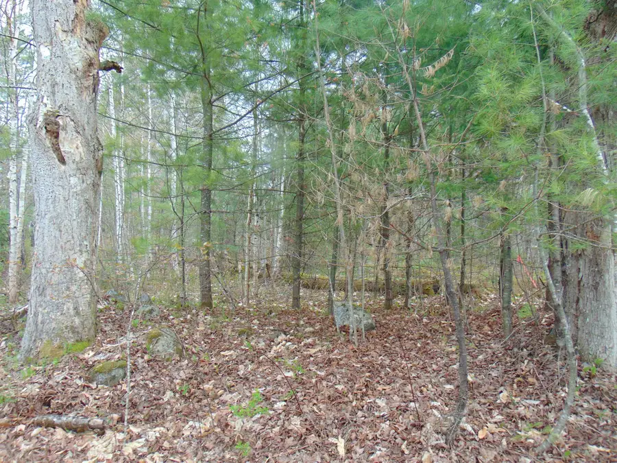 000 Walker Pit Road, Concord, VT 05824 - #3