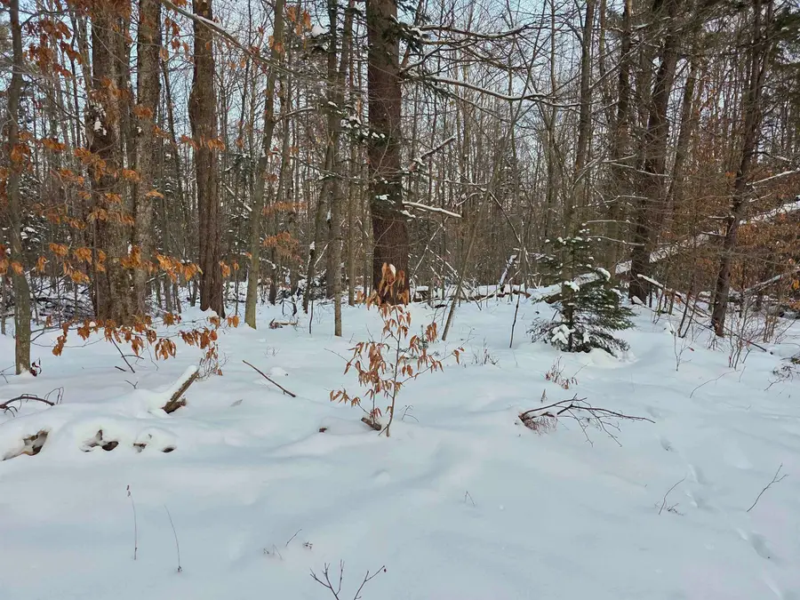 00 Fire Brook Road, Ripton, VT 05760 - Image #2