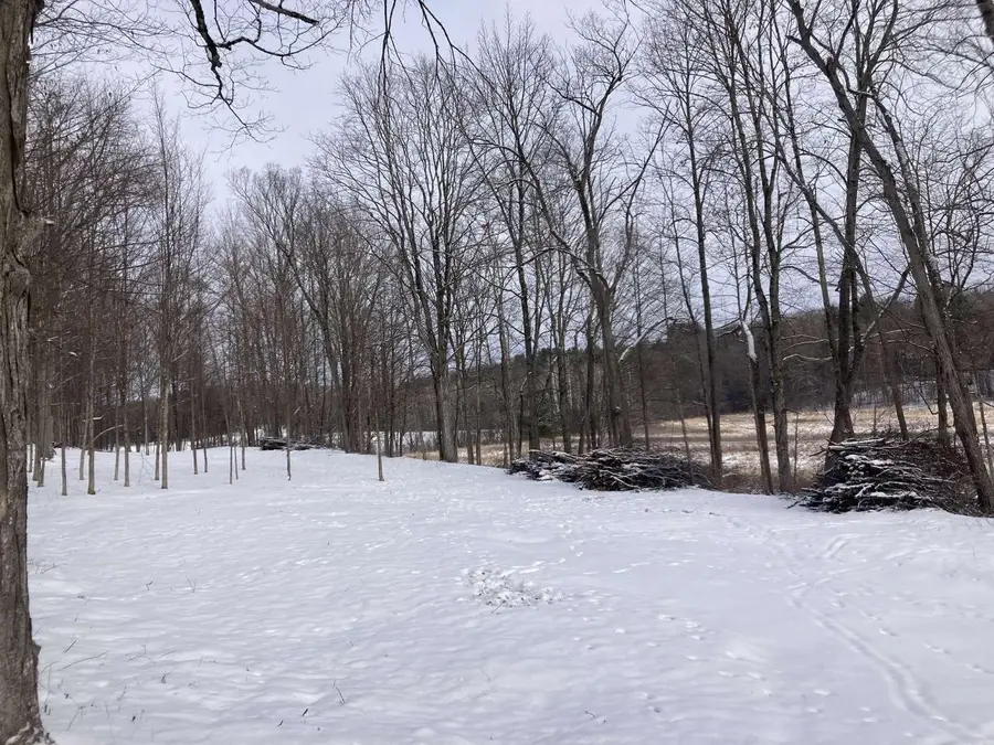 0 Barnes Road, Whiting, VT 05778 - Image #3