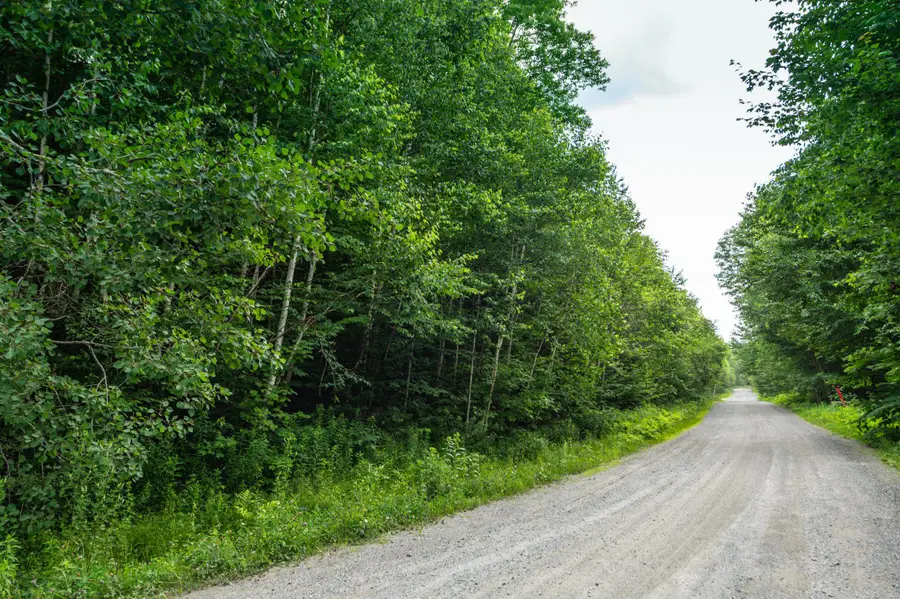 31 Woodsman Road, Dover, VT 05356 - Image #2