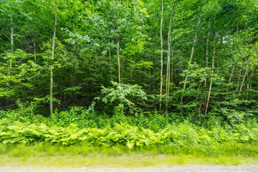 31 Woodsman Road, Dover, VT 05356 - Image #3