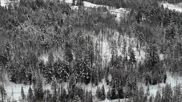 00 Wheelock Road, Sutton, VT 05867