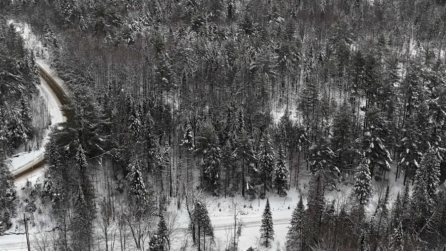 00 Wheelock Road, Sutton, VT 05867 - Image #3