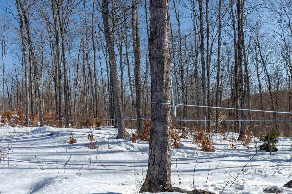 0000 Town Hill Road, Wolcott, VT 05680 - Image #1