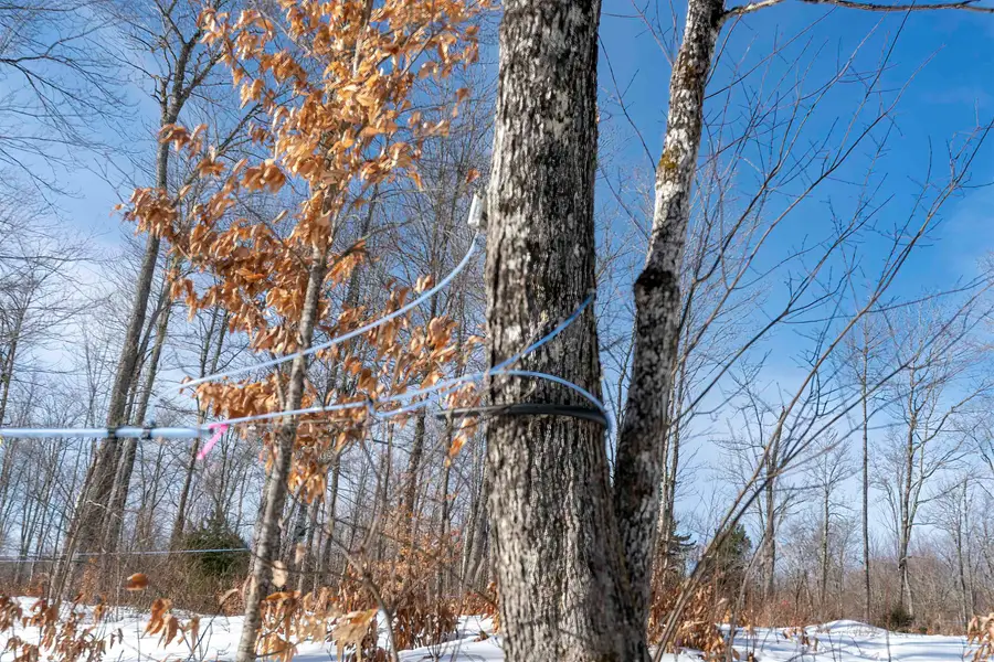 0000 Town Hill Road, Wolcott, VT 05680 - Image #3