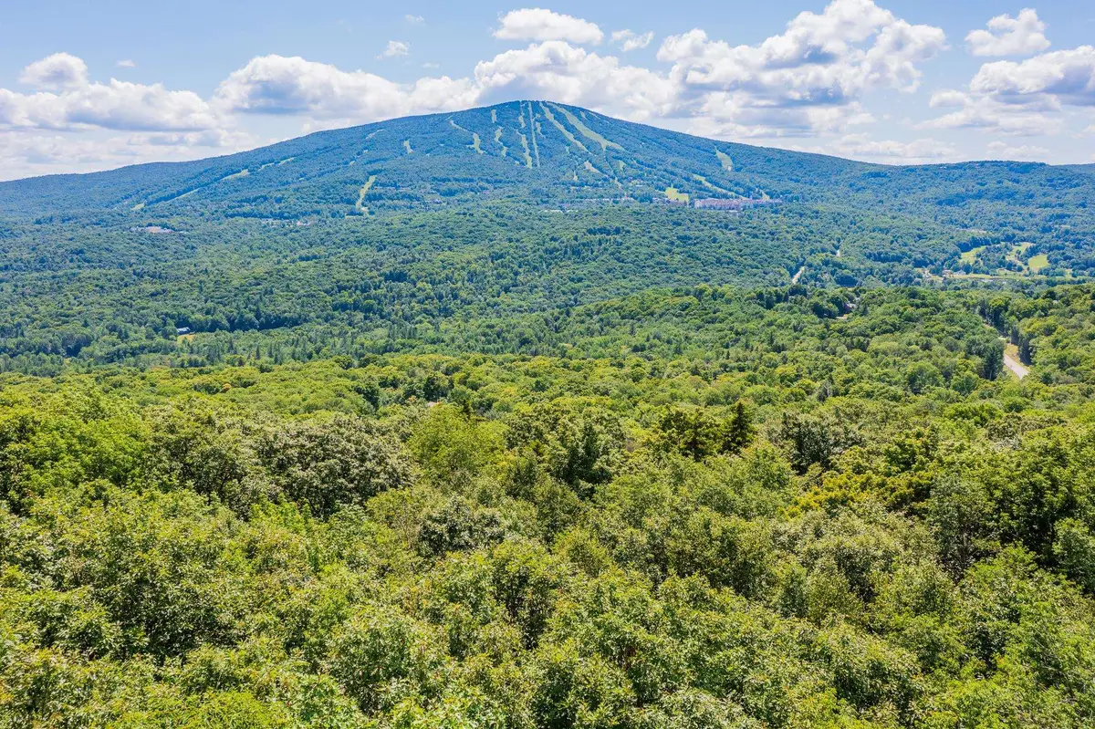 4.1 Pearl Buck Drive, Winhall, VT 05340 - Image #1