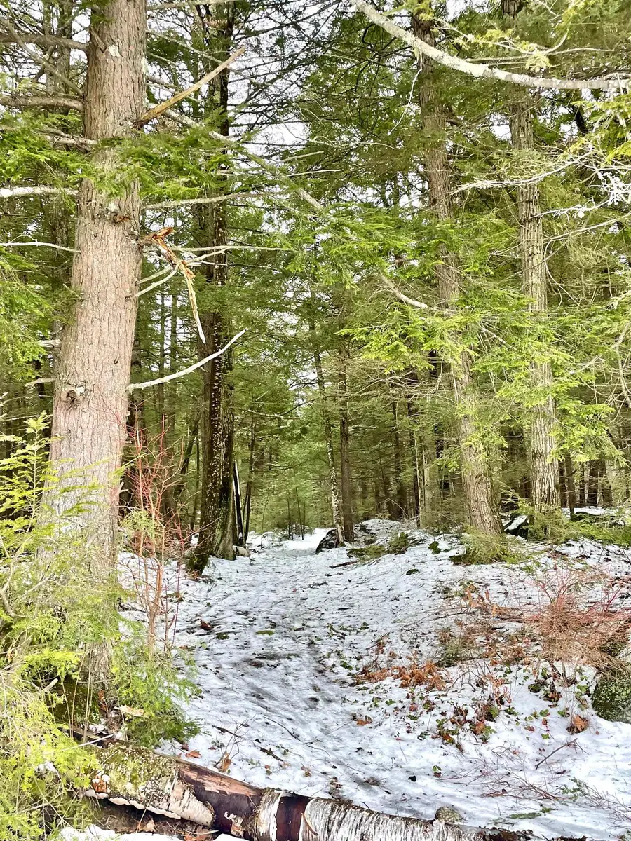 332 Gleason Falls Road #Map 5 lot 87 and map 8 lot 146, Hillsborough, NH 03244 - Image #2