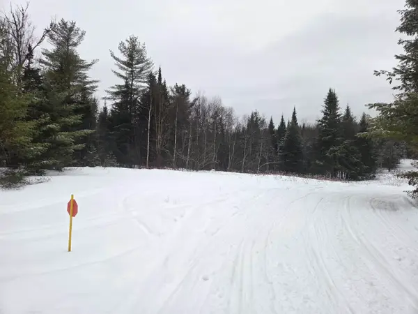 0 Bell Hill Road, Stark, NH 03582