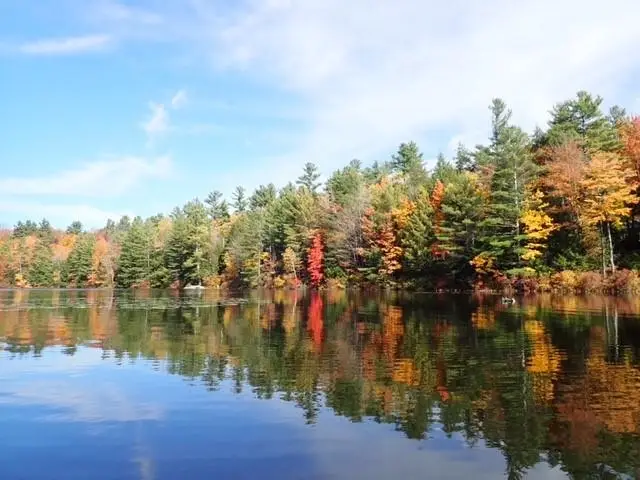 22 Brookridge Drive, Grantham, NH 03753 - Image #3