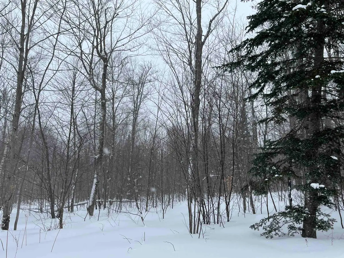 2924 New Duck Pond Road, Sheffield, VT 05866 - Image #1