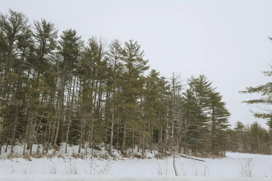 179 Chickville Road, Ossipee, NH 03864 - Image #3