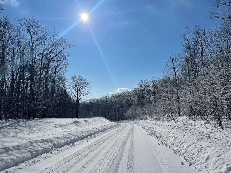 0 Earls Lane, Lempster, NH 03605 - Image #3