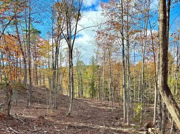 222-3 Fisher Road, Deering, NH 03244