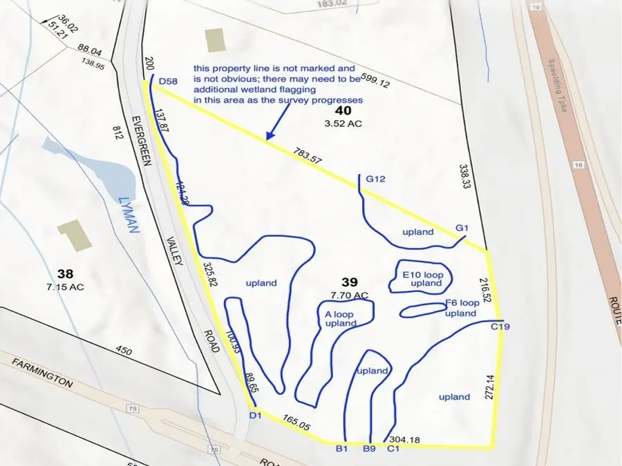 200 Farmington Road, Milton, NH 03851 - Image #2