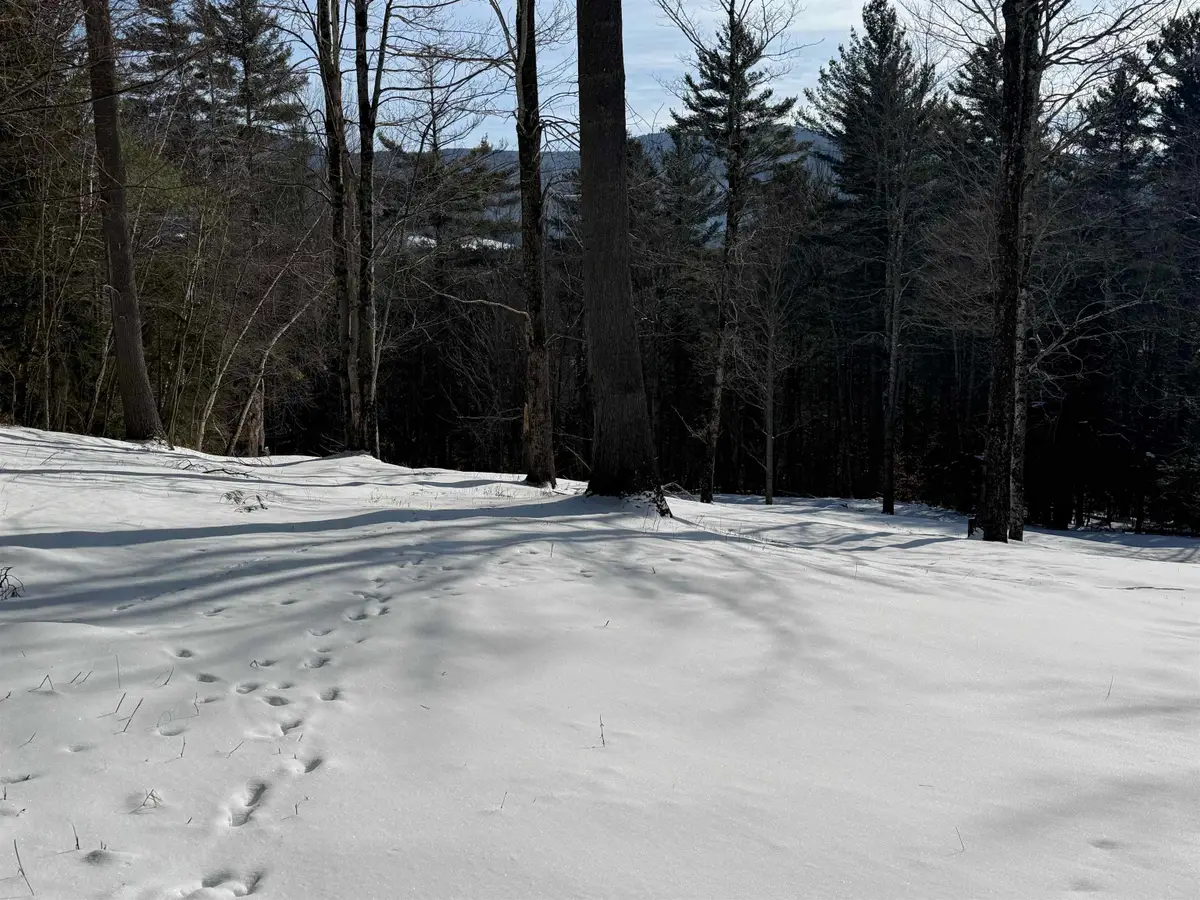 00 Brook Road, Warren, VT 05674 - Image #1