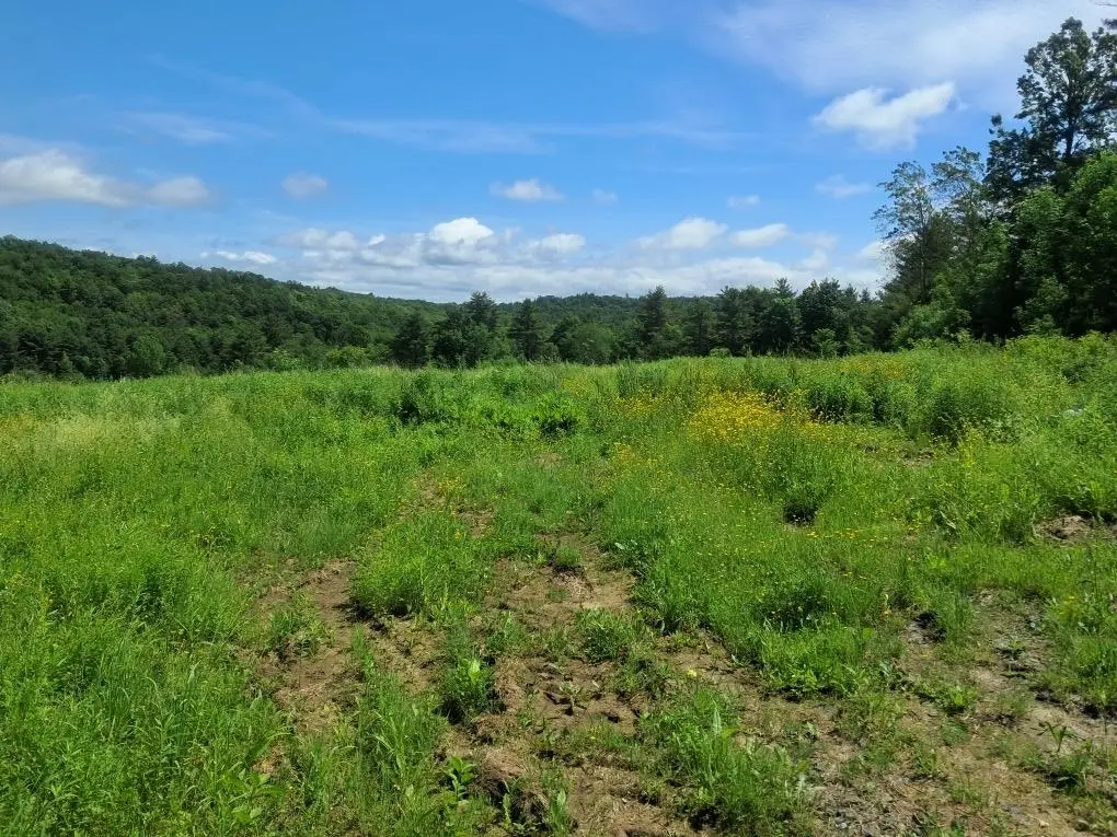 1567 Hollow Road, North Ferrisburgh, VT 05473 - Image #1
