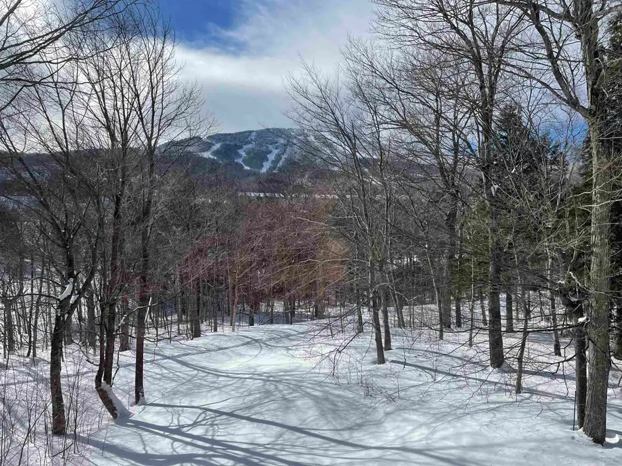75 East Birch Road #35, Stratton Mountain, VT 05155 - Image #2