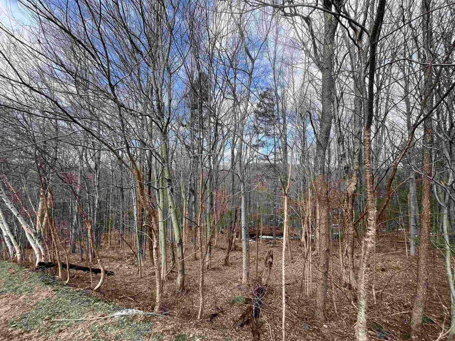 9 Barber Road, Dover, VT 05356 - Image #3